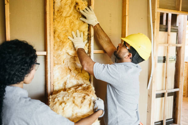 Types of Insulation We Offer in Bishop, CA